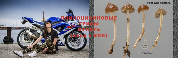 СК Алексеевка