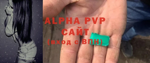 крисы Магадан