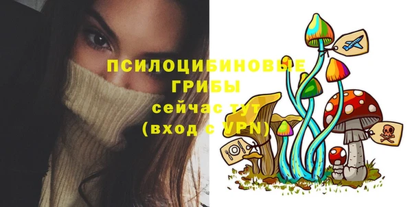 СК Алексеевка